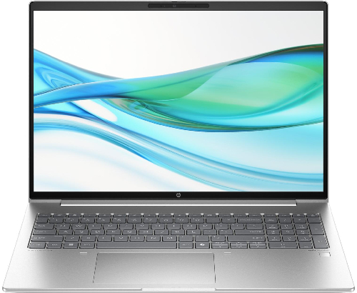 Ноутбук HP ProBook 465 G11 Pike Silver ()