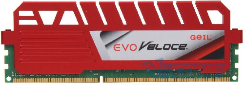 GelL DDR3 1600Mhz 8Gb (GEV38GB1600C10SC)